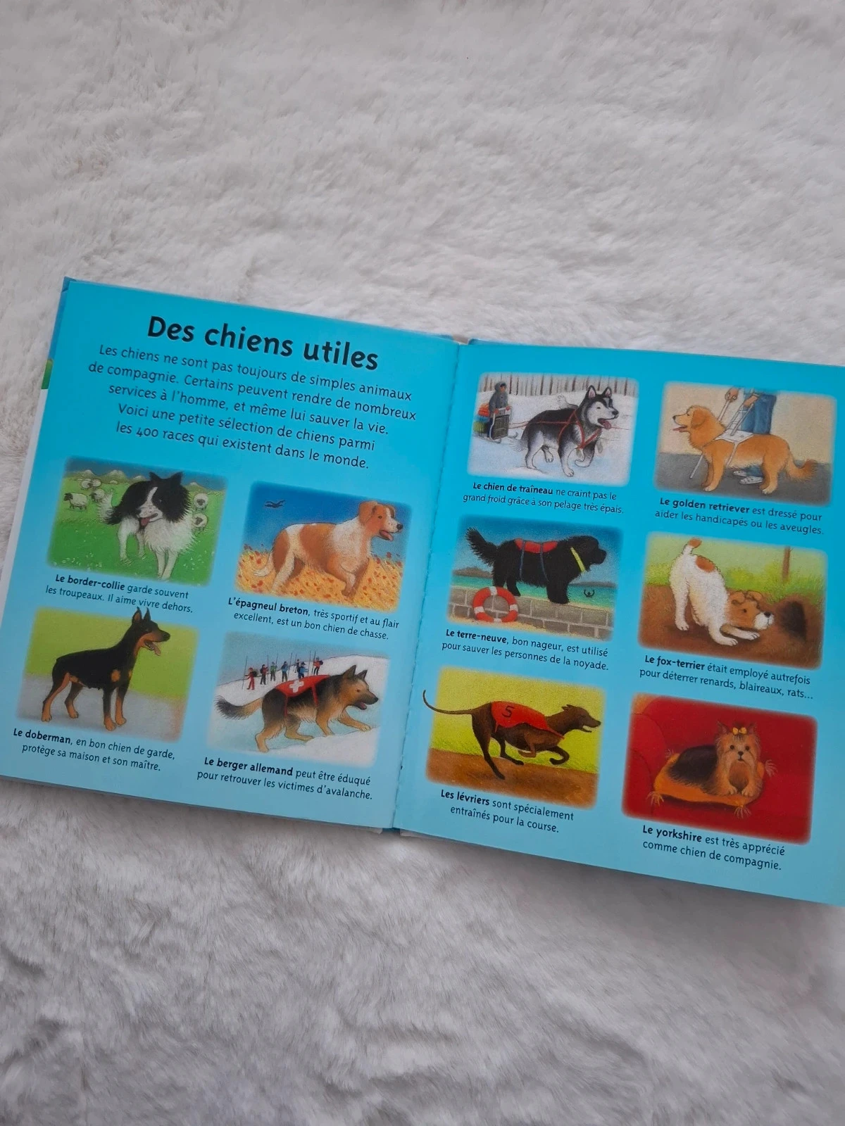 📚 libro pagina plastificado la pequeña imaginería Los perros Fleurus – photo 11